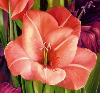 gladioli care and cultivation