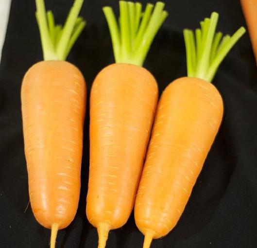 Carrot Abaco: features, cultivation, care, reviews
