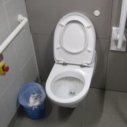 I know the dream: what does the toilet look like?