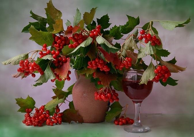 How to make wine from viburnum at home