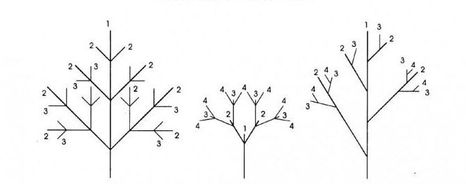 What is an algorithm with branching? Examples and definition of branching algorithms