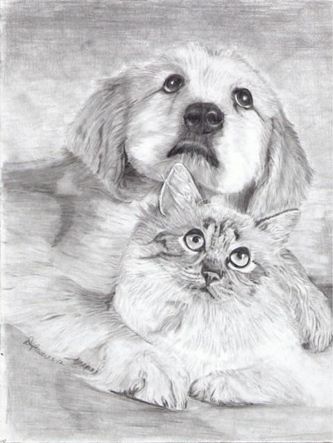 How to draw a cat and a dog together