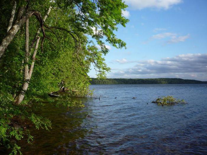 Glubokoe Lake (Leningrad region) is an ideal place for a vacation