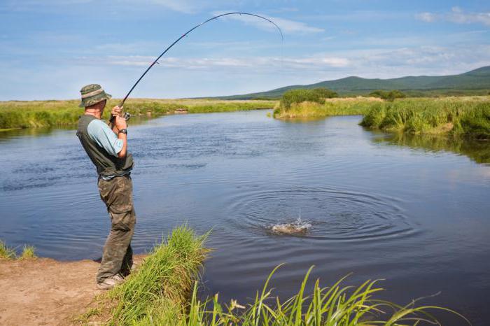 fishing reports Chelyabinsk region