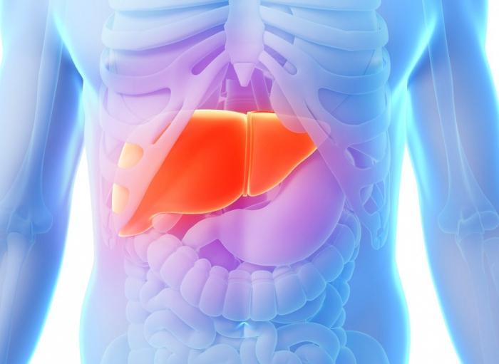Causes and early signs of liver cirrhosis