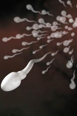 Spermicide lubricant: what is it?