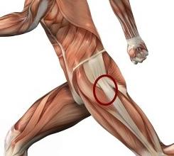 hip joint pain treatment 